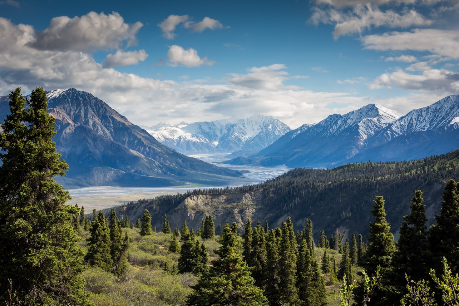 Top 10 Photography Genres to Explore